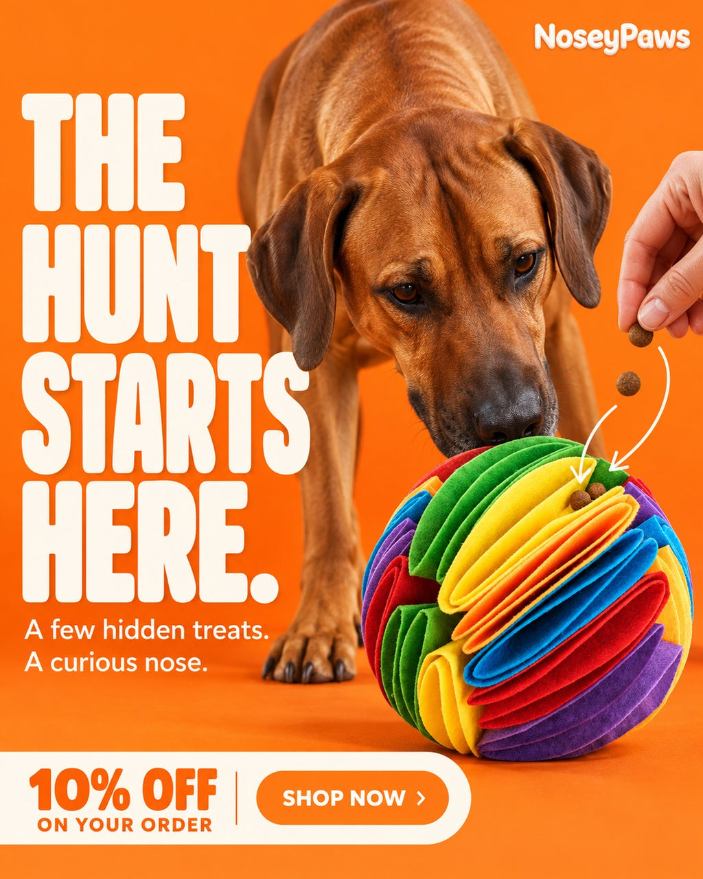NoseyPaws Snuffle Ball — Interactive Sniffing Toy for Dogs