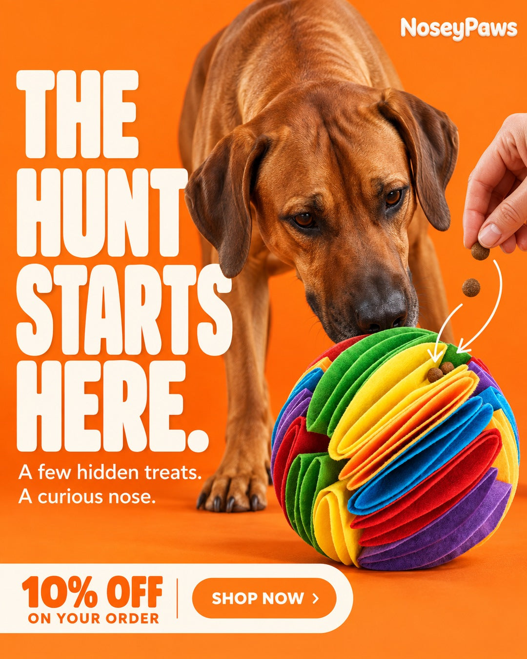 NoseyPaws Snuffle Ball — Interactive Sniffing Toy for Dogs